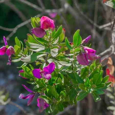 بيت للعطل Dream View Kypseli