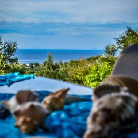 Dream View