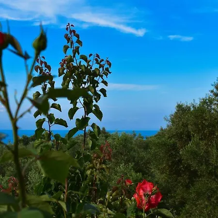 Dream View * Kypseli