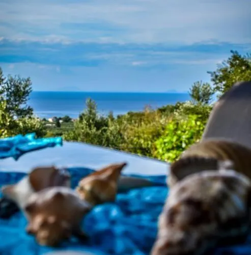 Dream View