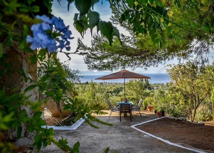 Dream View