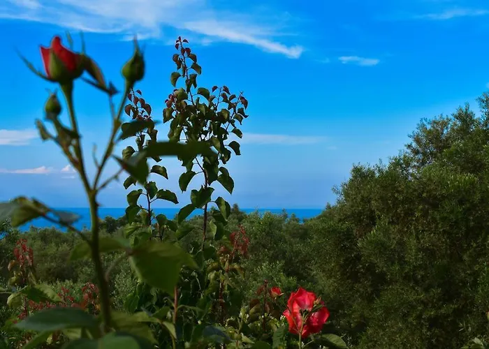 Dream View * Kypseli