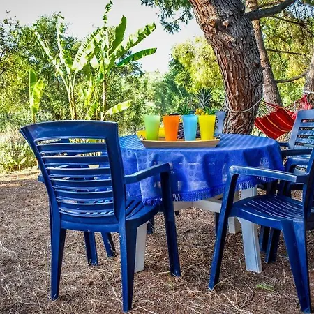 Dream View بيت للعطل