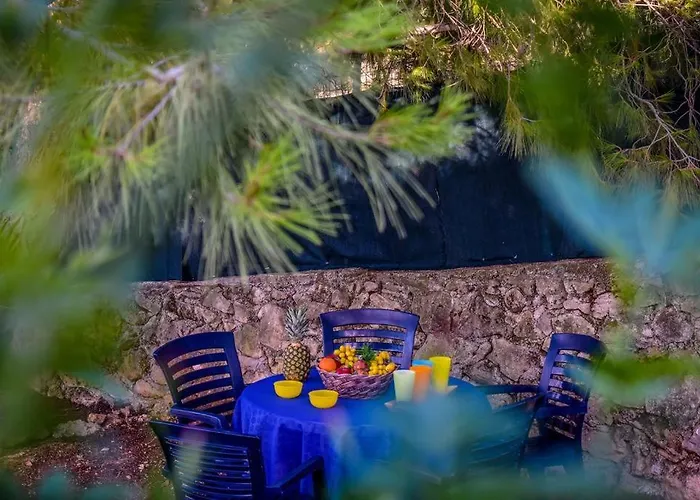 Dream View Case de vacanță