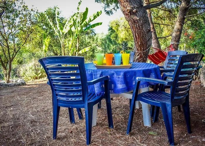 Dream View Case de vacanță