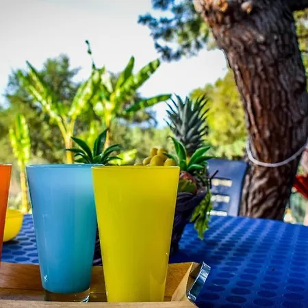 Feriehus Dream View *